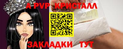 мет Кингисепп