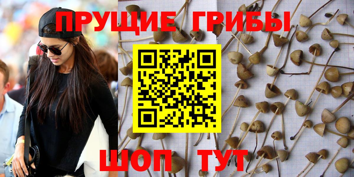Кандалакша  наркошоп  Вход с VPN  Псилоцибиновые грибы Psilocybe  Псилоцибиновые грибы мухоморы 